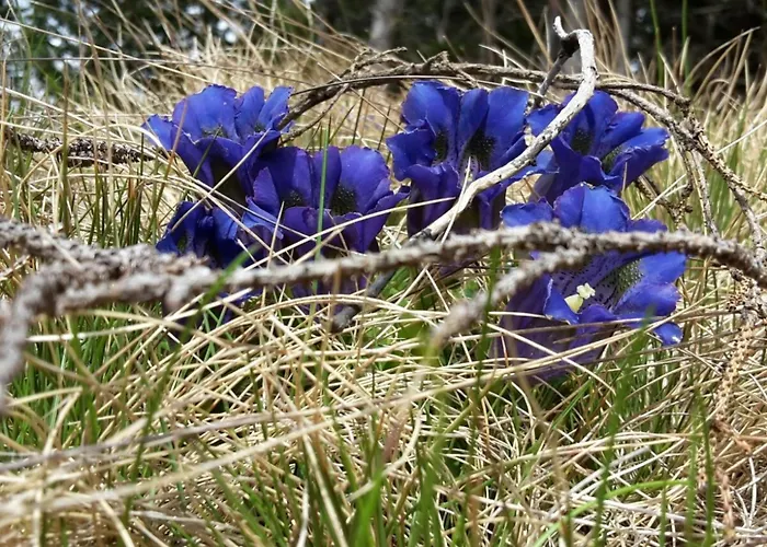 Harterhuette In Klippitztoerl By Interhome